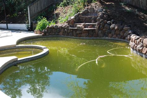 What can i use to kill mosquito larvae in my swimming pool? Which Produces More Mosquitoes: a Full or 1/4 Full ...