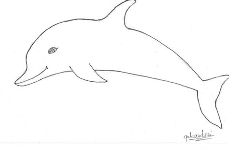 Dolphin Drawing Easy At Explore Collection Of