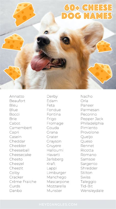 Complete foods are formulated to provide your dog with all of the nutrients needed in a single product. 60+ Cute Cheese Names for Dogs - Hey, Djangles.