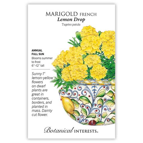 Lemon Drop French Marigold Seeds Botanical Interests