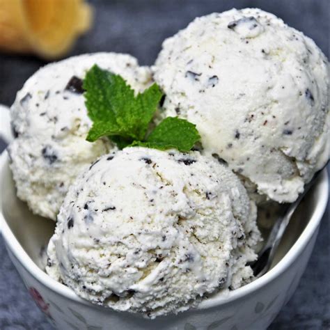 Mint Chocolate Chip Ice Cream Culinary Shades