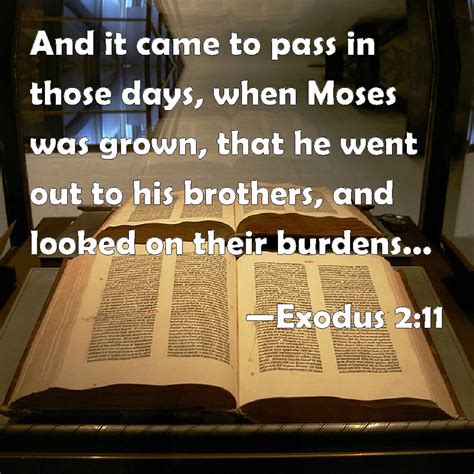Exodus 211 And It Came To Pass In Those Days When Moses Was Grown