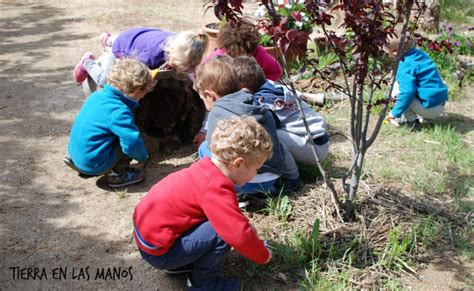 Por Qué Incorporar Naturaleza En El Patio De La Escuela Favorece La