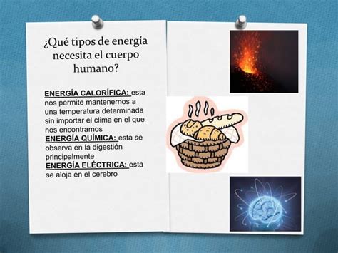 De Donde Obtiene Energ A El Cuerpo Humano Ppt Descarga Gratuita