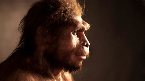 Ancient Human Species Made ‘last Stand 100000 Years Ago On Indonesian