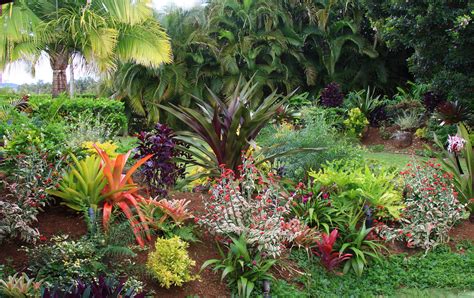 Small Garden Ideas Tropical Garden Design