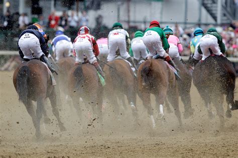 2011 Preakness Stakes 10 Reasons Why Horse Racing Is On The Rise In