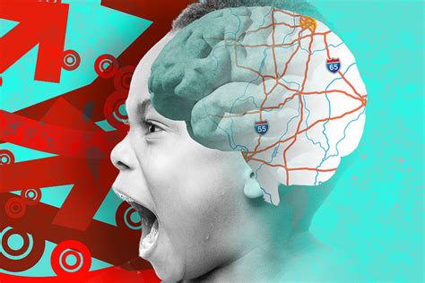 Linking Genes To Adhd By Mapping Connections In The Brain