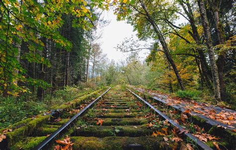 Wallpaper Autumn Railway Abandoned Fall Railroad Decay Images For