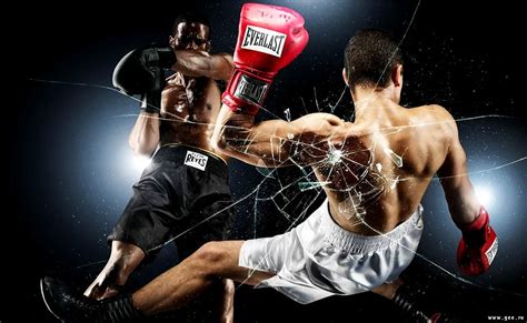 Boxing Professional Boxer Boxing Glove Wallpaper Best Free Pictures