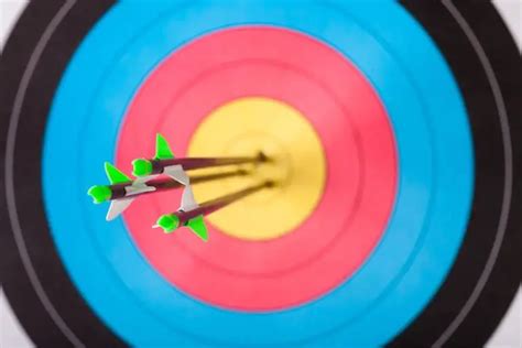 What Are The Different Types Of Archery Targets The Complete Guide