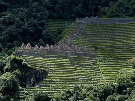 Agricultura De Conservación Es Un Legado Cultura De Los Incas