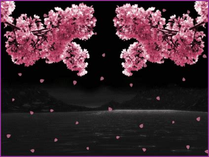 Animated background with falling flowers. Cherry Blossom GIFs - Find & Share on GIPHY