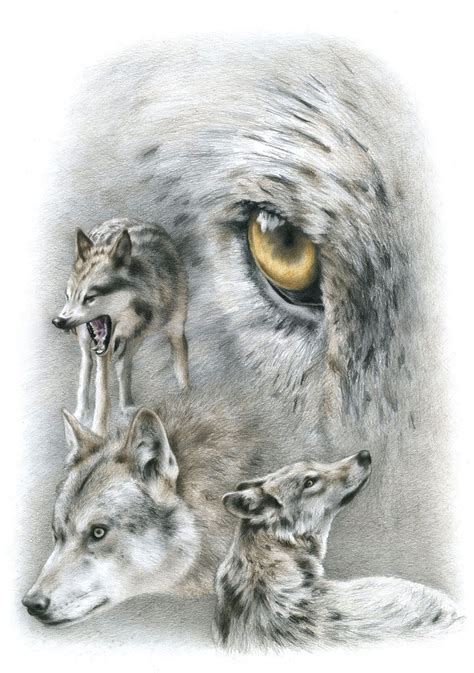 Drawing Of Wolves Raisa Template