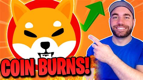 Shiba Inu Coin Burns What Is Happening Right Now And In The Future Shib