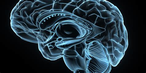 Sleep Quality Linked With Brains Gray Matter Huffpost