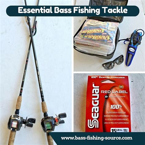 What Gear Do You Need To Go Bass Fishing The Essential Tackle Guide
