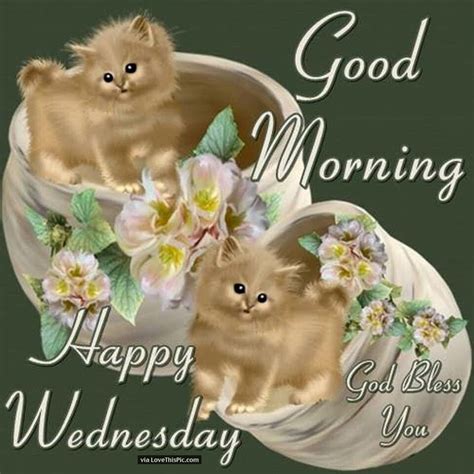 Good Morning Happy Wednesday God Bless Your Day Quote Pictures Photos
