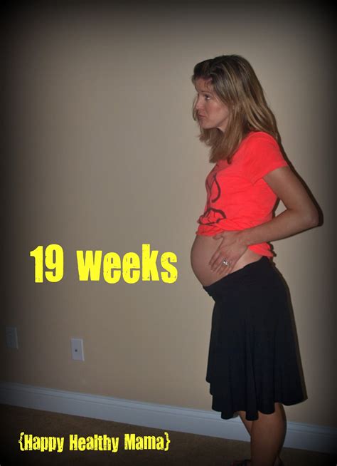 My Pregnancy 19 Weeks Happy Healthy Mama