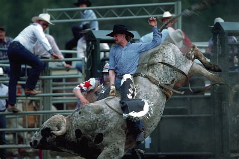 The Truth About Why Bulls Buck At Rodeo