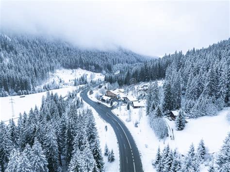 Forest In Snow Snowy Forest Road Forest Road From Above Stock Image