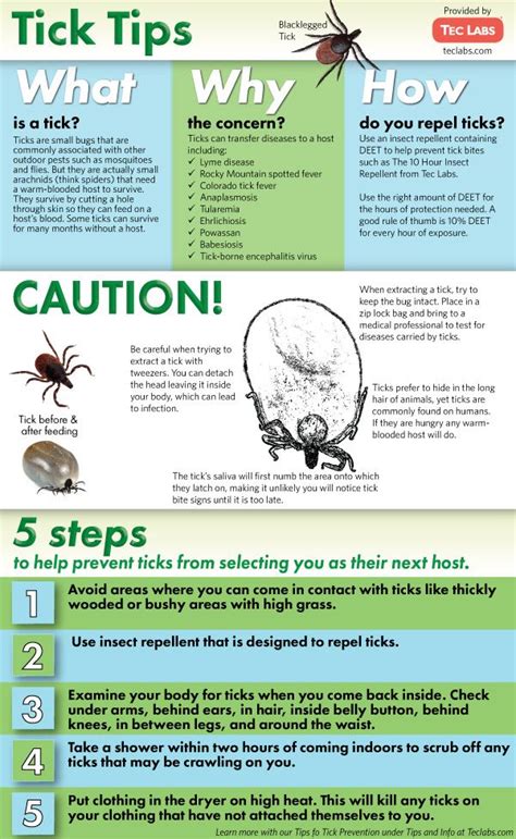 Tick Tips Infographic How To Prevent Tick Bites Tick