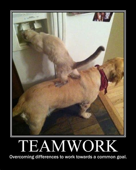 Great Teamwork Funny