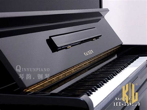 Seinen durchbruch hatte er 1980 mit dem lied santa maria, das sich 1,2 millionen mal verkaufte. YAMAHA KAISER K30A - pianokimlan.com