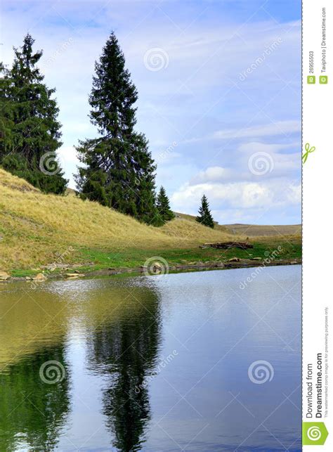 Mountain Lake And Spruces Stock Image Image Of Liquid 26955503