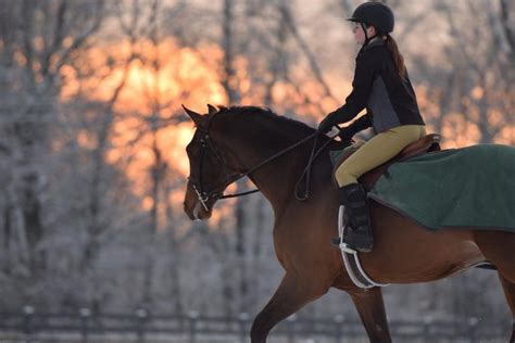 The Equestrians Guide To Surviving Cold Winters The Plaid Horse