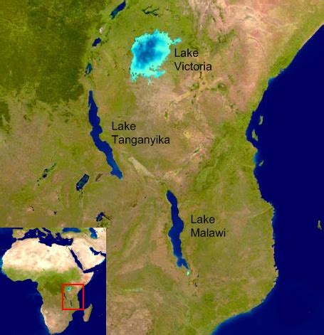 The lake is shared between four countries—tanzania, the democratic republic of the congo (drc), burundi, and zambia, with tanzania (46%) and drc (40%. Thijs Janzen.nl
