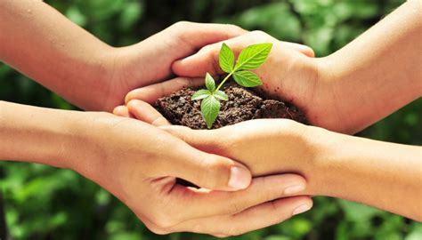 Eco Friendly Habits That You Can Embrace In Your New Home Satyamev Group