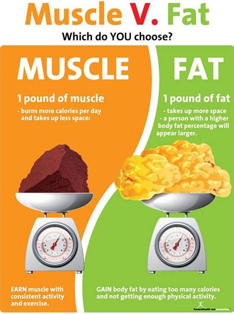Pin On Weight Loss And Muscle Building