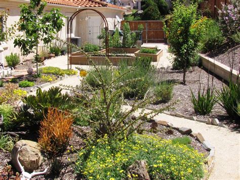 Landscape Design In Escondido Desert Landscaping Desert Backyard