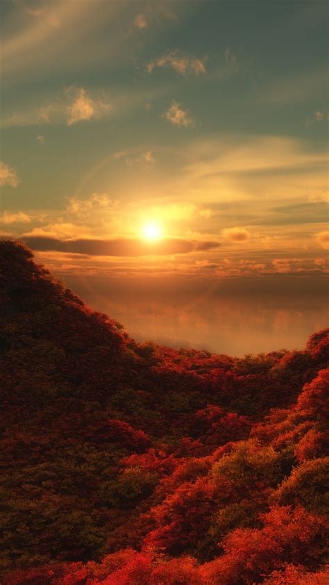 Red Trees Wallpaper 4k Sunrise Cloudy Sky Forest Aerial View