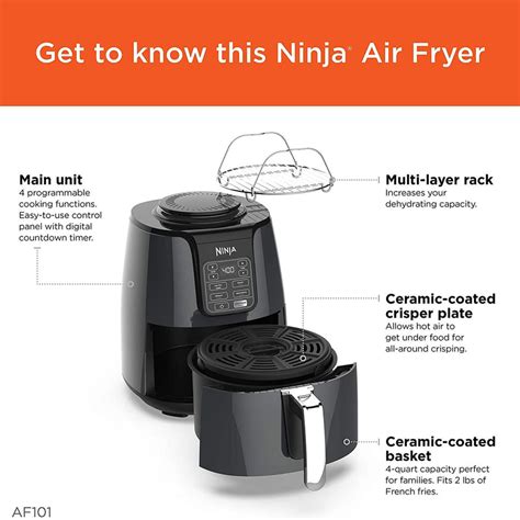 Ninja 4 Quart Air Fryer Af100 Dailysale