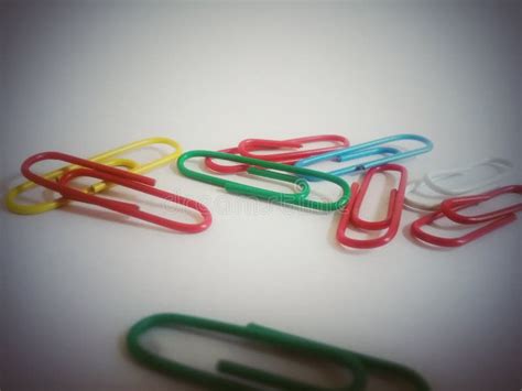 Colorful Paper Clips On White Background Stock Photo Image Of School