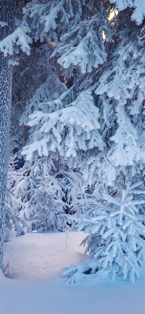 Aggregate More Than 89 Iphone Xs Winter Wallpaper Best Vn
