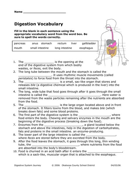 Gizmo Digestive System Quiz Answer Key Everything You Need To Know In