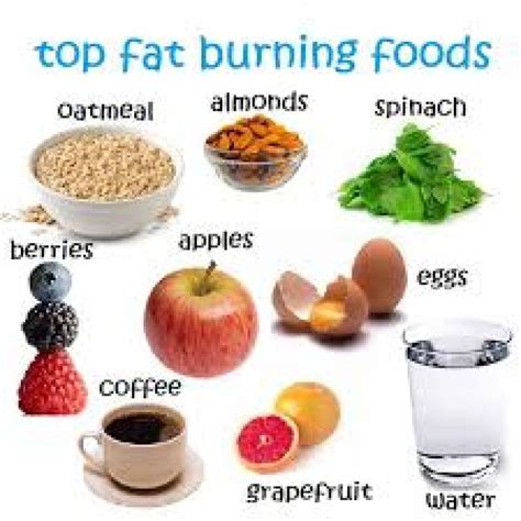 Fat Burning Foods That Helps You Lose Stubborn Fat Lose Weight Long Term