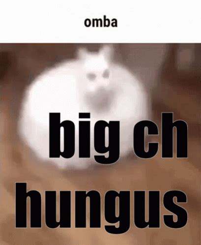 Omba Big Chungus GIF Omba Big Chungus Chungus ຄນພບ ແລະ ແບງປນ GIF