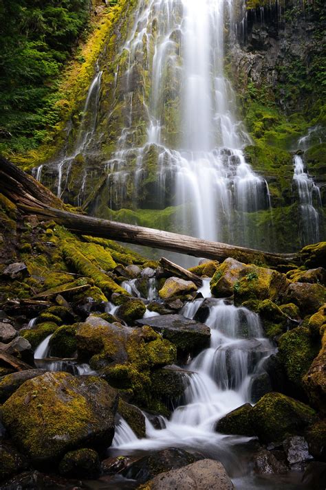 Proxy Falls Oregon Cool Pictures Of Nature Nature Photos Beautiful