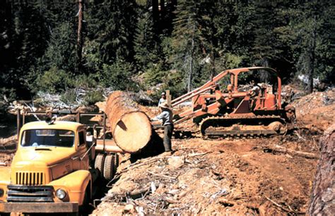Loading Logging Truck Soper Wheeler Company — Calisphere