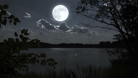 Nature Full Moon Night Landscape With Forest Lake Stock