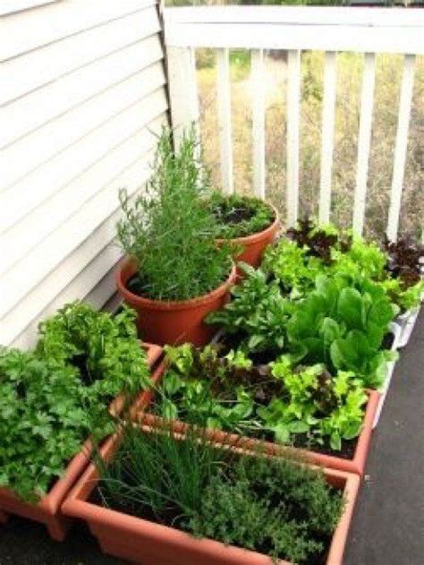 Check spelling or type a new query. 10 Pinteresting People Teach Us How To Grow a Vegetable Garden