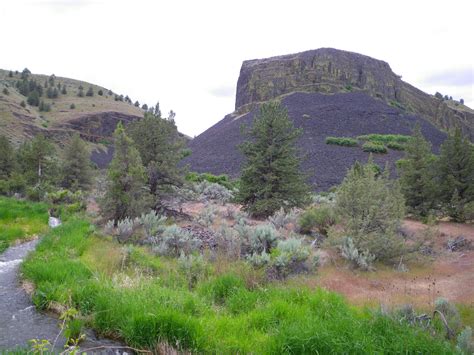 Maybe you would like to learn more about one of these? Native Trout Fly Fishing: Central Oregon Escape ...
