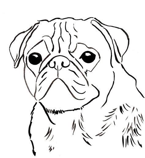 Pug Cabeza Lindo Para Colorear Imprimir E Dibujar Coloringonlycom