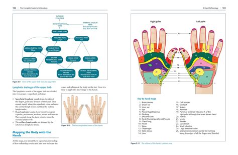 The Complete Guide To Reflexology Book By Ruth Hull Official Publisher Page Simon