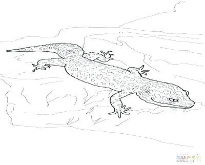 I took the picture myself and created a fun coloring. Leopard Gecko Coloring Pages at GetColorings.com | Free ...