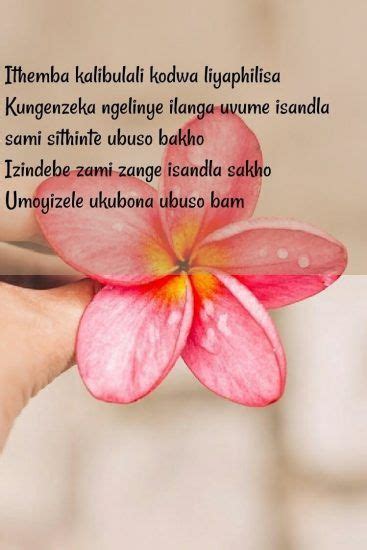Imilayezo abaluleke kakhulu lokubonisa uthando lwethu. Zulu Love Quotes - Wallpaper Image Photo